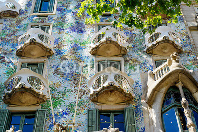 Casa Batllo fragment