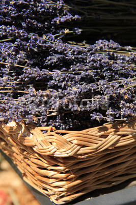 Lavender in a wicker basket