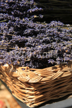Fototapety Lavender in a wicker basket
