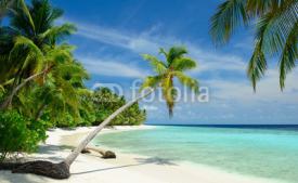 Naklejki einsamer Strand mit Palmen