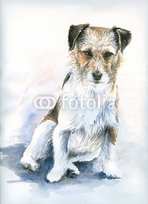 Small dog watercolor painted.