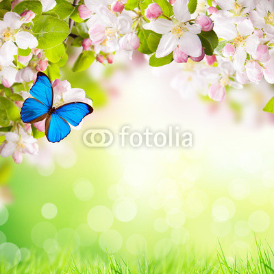 Spring background with free space for text