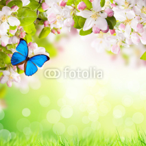 Naklejki Spring background with free space for text