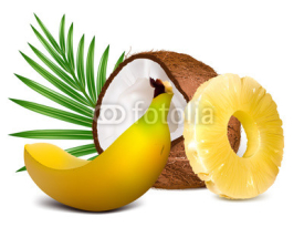 Tropical fruits vector illustration