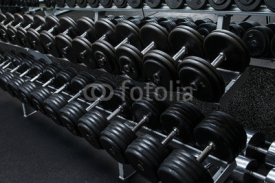Fototapety Dumbbells in gym
