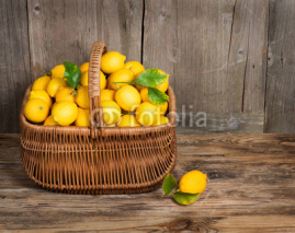 Fototapety Lemon