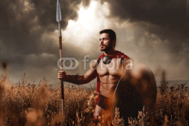 Warrior with sword and shield going in attack.