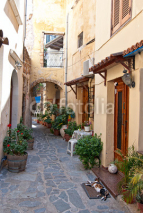 Fototapety Traditional Greek street.