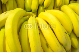 Obrazy i plakaty Bananas