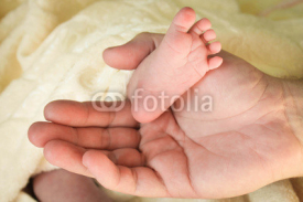 Fototapety Baby legs in daddy's hands