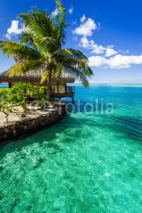 Tropical villa and palm tree next to green lagoon