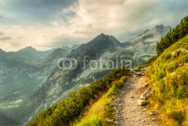 Naklejki path in mountains