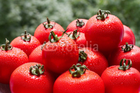 Naklejki Fresh red tomatoes with drops on a nature background. 