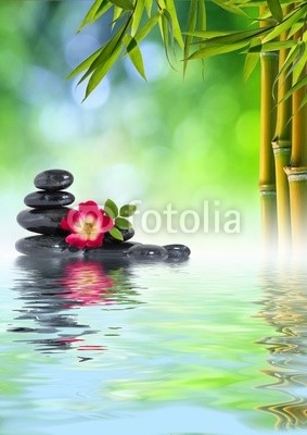 Pietre Zen, rosa e bambù in acqua