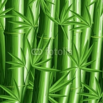Obrazy i plakaty Bambù Sfondo-Bamboo Pattern Background-Vector