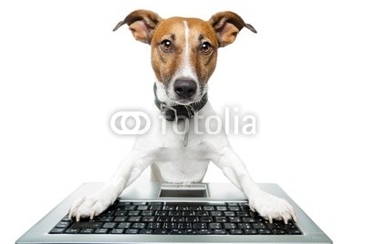 dog computer