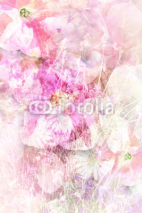 Obrazy i plakaty Pretty summer flowers, grungy background