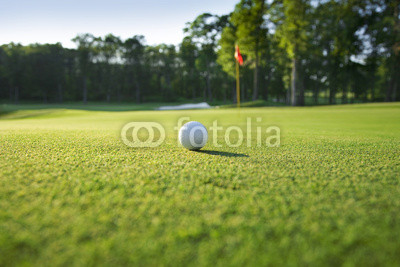 Close up of golf ball on green