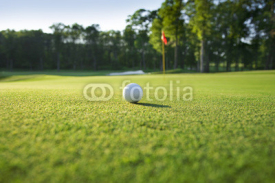 Naklejki Close up of golf ball on green