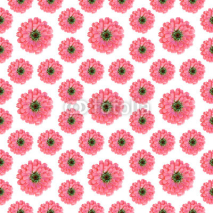 Naklejki Seamless Floral pattern with pink zinnia flowers
