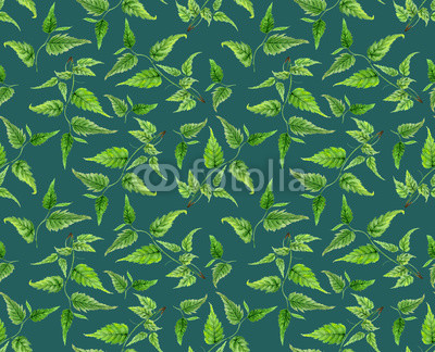 Botanical foliage seamless pattern. Watercolor hand painted ornate branch, green leaves on sea green background, floral pattern