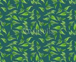 Obrazy i plakaty Botanical foliage seamless pattern. Watercolor hand painted ornate branch, green leaves on sea green background, floral pattern