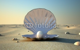Naklejki Seashell