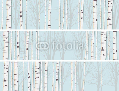 Horizontal banners of birch trunks forest.