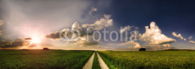 Fototapety Feldweg in den Himmel Panorama