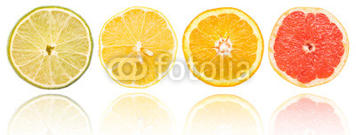 Citrus Fruits Slices Set On White With Reflection