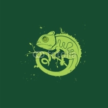 Obrazy i plakaty векторный логотип хамелеон