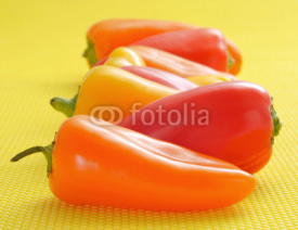 Fototapety sweet bite peppers of different colors