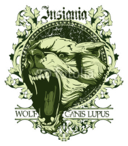 Obrazy i plakaty Canis lupus insignia