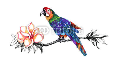 Beautiful colorful parrot on twig.