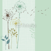 Fototapety Floral Seamless Card Blue