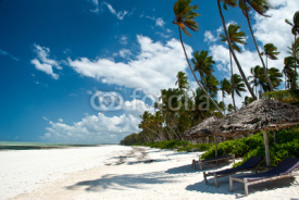 Trobical beach in Zanzibar