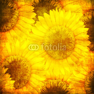 Sunflower pattern in grunge style