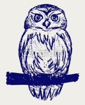 Naklejki Great Owl. Sketch