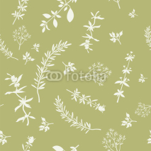 Fototapety Seamless With Herbs Silhouettes