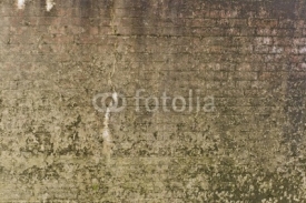 Fototapety alte steinmauer