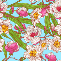 Fototapety color magnolias and narcissus