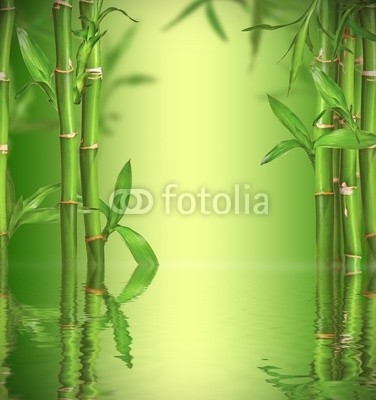 Spa still life with bamboo sprouts, free space for text