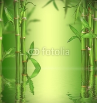 Naklejki Spa still life with bamboo sprouts, free space for text