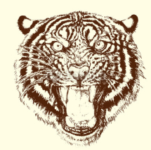 Obrazy i plakaty Tiger brüllt