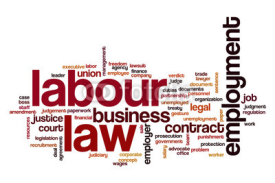 Labour law word cloud concept