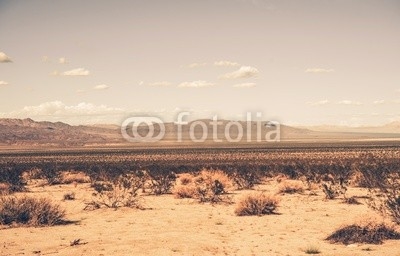 Southern California Desert