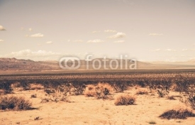 Fototapety Southern California Desert