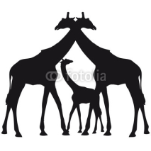 Naklejki Mama Papa Giraffe Kind Junges Eltern Familie