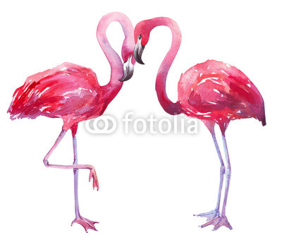 watercolor illustration of a flamingo