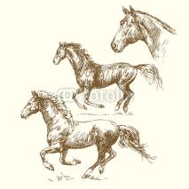 Naklejki hand drawn horses
